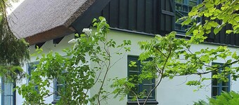Colour joy in thatched house of the north coast