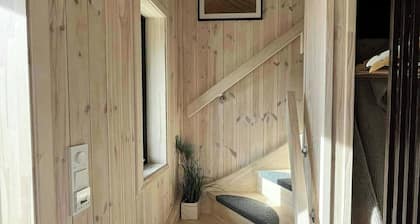 Newly built cabin on Andøya with northern lights