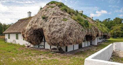 Landhaus "Knøv" mit Seegrasdach auf Læsø