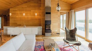 Een moderne woonkamer met een houten plafond, een open haard, een bank, een fauteuil en een groot raam.