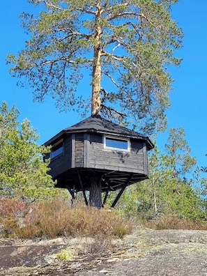 Exterior - Cabin with wildlife and hiking trails (Risdal)