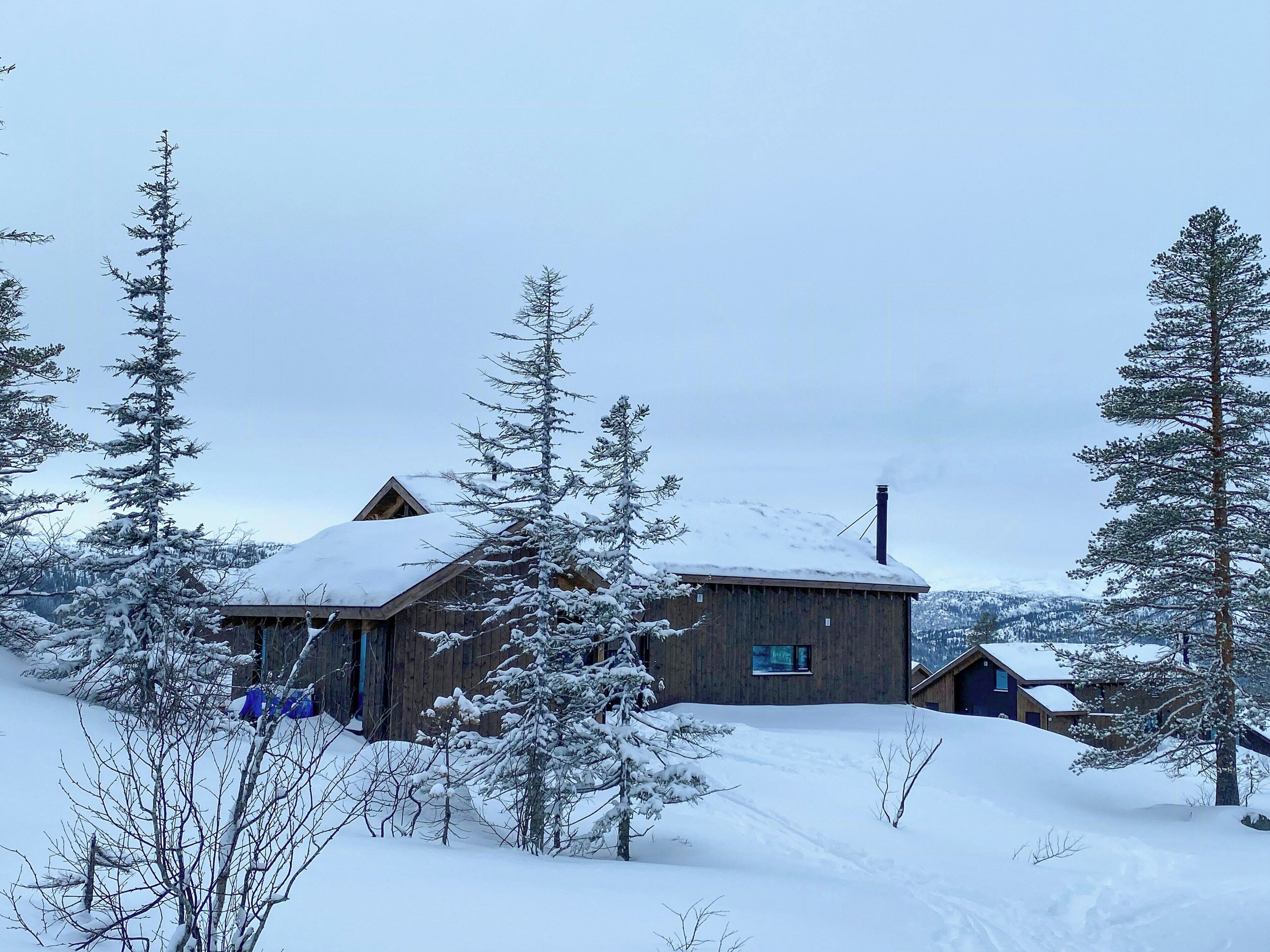 Eksteriør