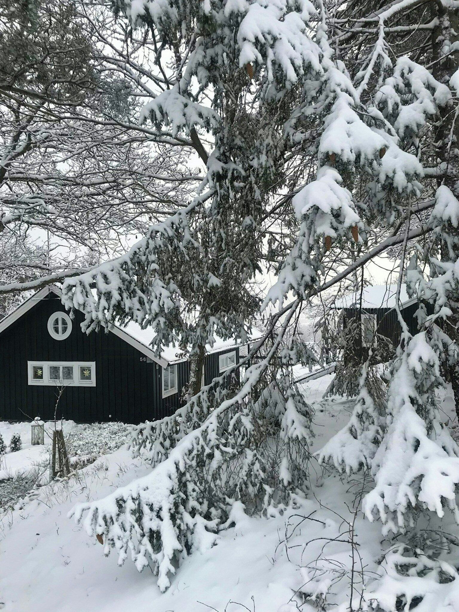 Boendeområde