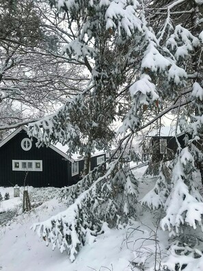 Boendeområde