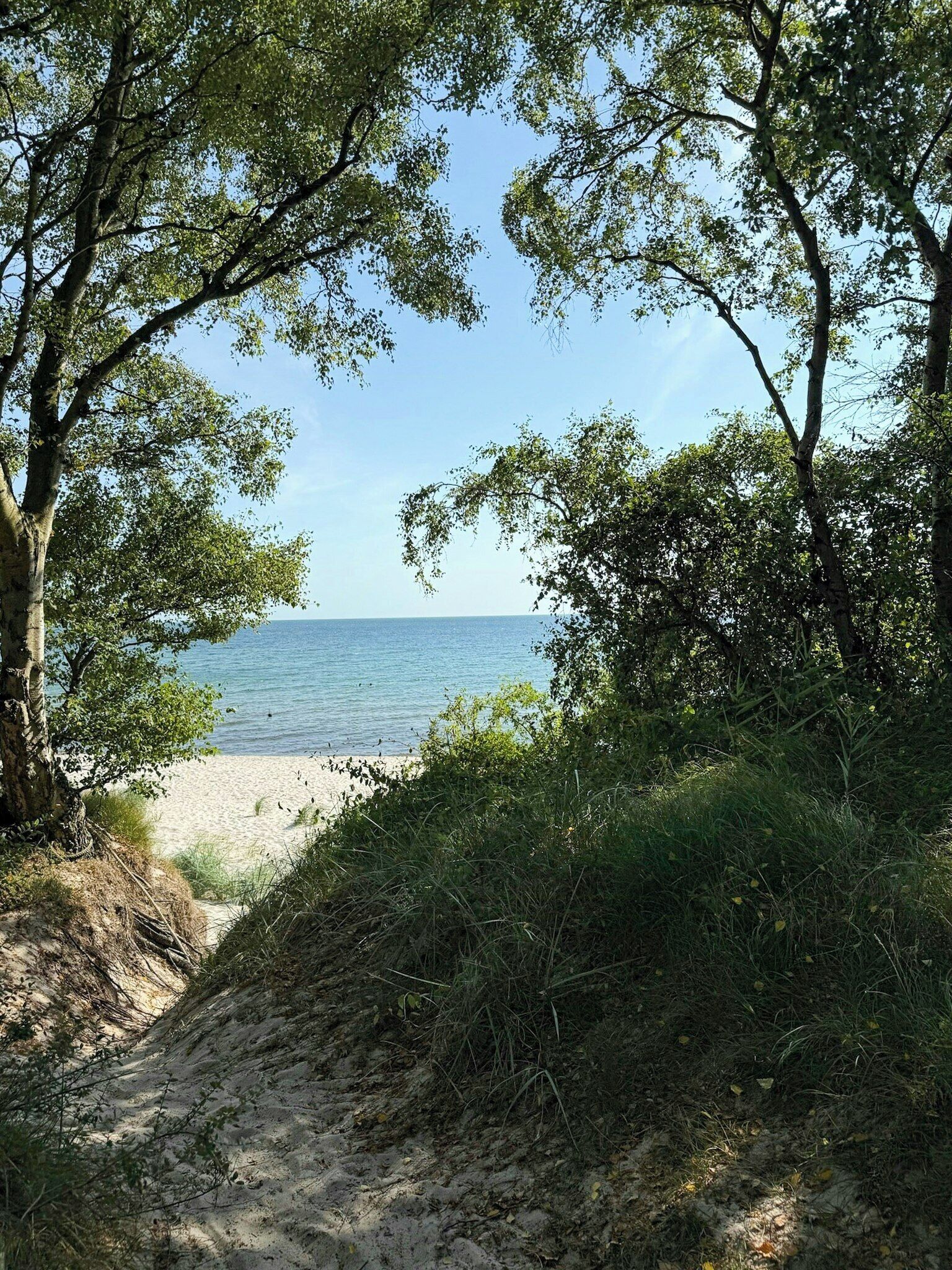 Strand