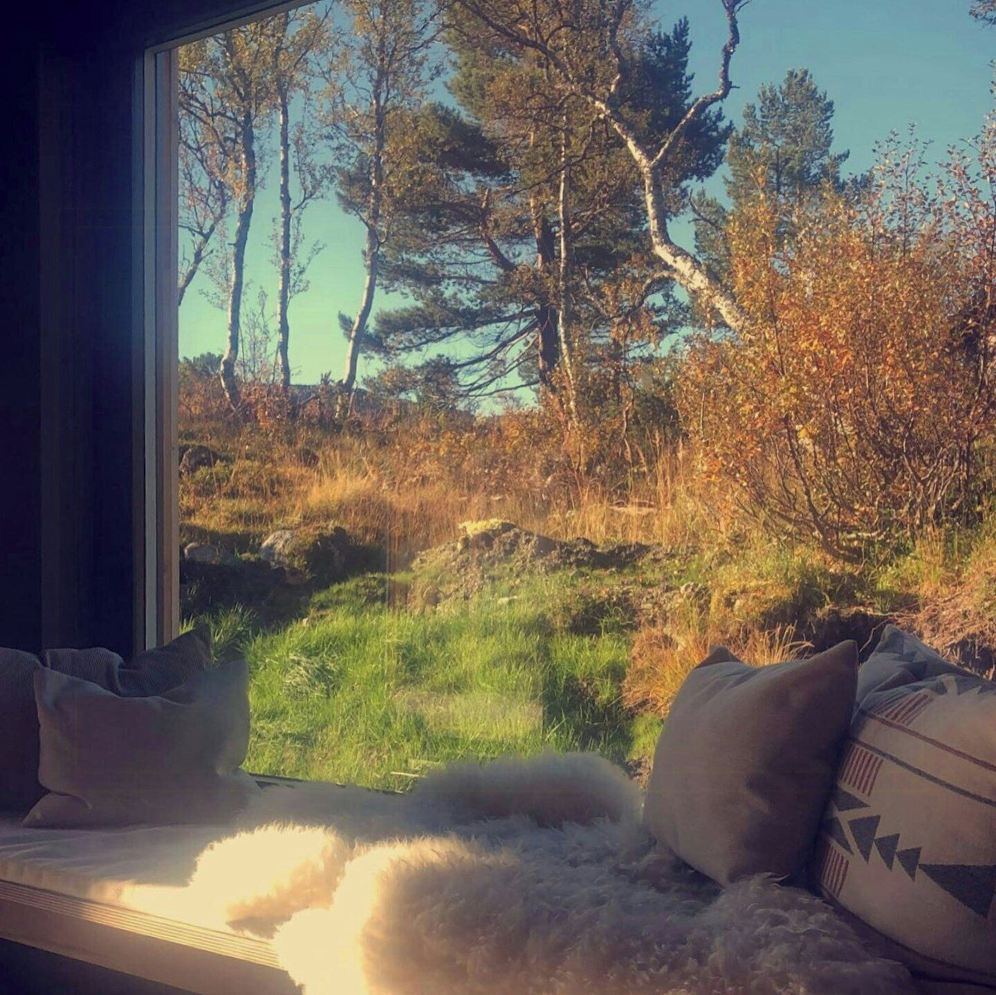 Interiør