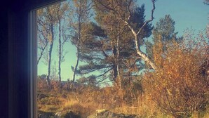 Una habitación con un ventanal grande que da a un área boscosa.