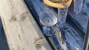 Una mesa de madera con una chimenea, una botella de vino, copas, aceitunas y patatas fritas.