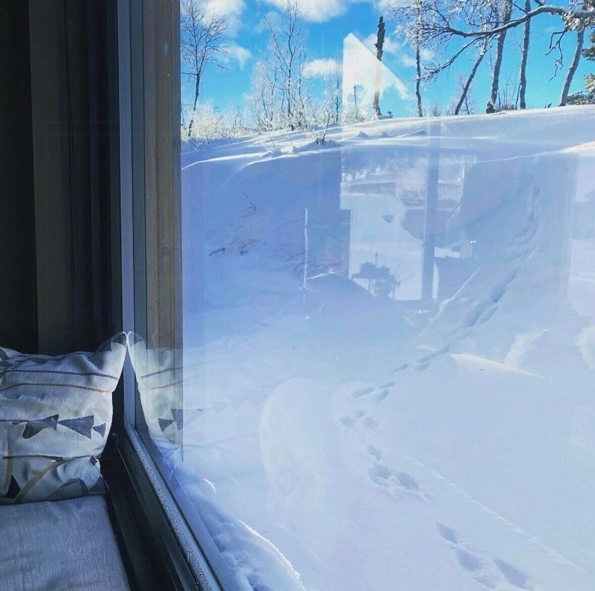 Vista desde una ventana a un paisaje nevado con árboles desnudos y cielo despejado.