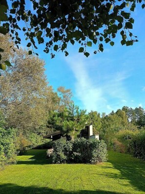 Ein Garten mit einer Holzbrücke, einer Steinstruktur und verschiedenen Bäumen.