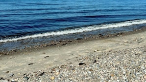 A beach with a clear sky, calm sea, and distant sailboats. - Traditional Kalmar house close to the beach (sjaellands odde)