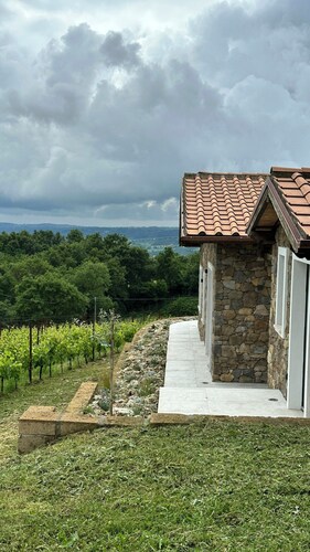 House among regenerative vineyards near Bolsena