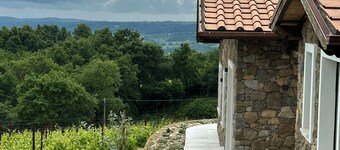 House among regenerative vineyards near Bolsena