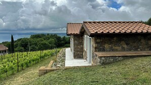 A stone building with a tiled roof, a vineyard, and a view of the sea.
