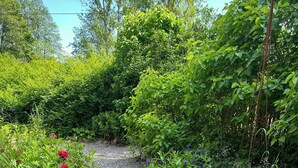 Un jardin avec un chemin de gravier, entouré d’une végétation luxuriante et de fleurs aux couleurs vives.