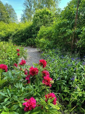 Ein Garten mit einem Kiesweg, umgeben von üppiger Vegetation und leuchtenden Blumen.