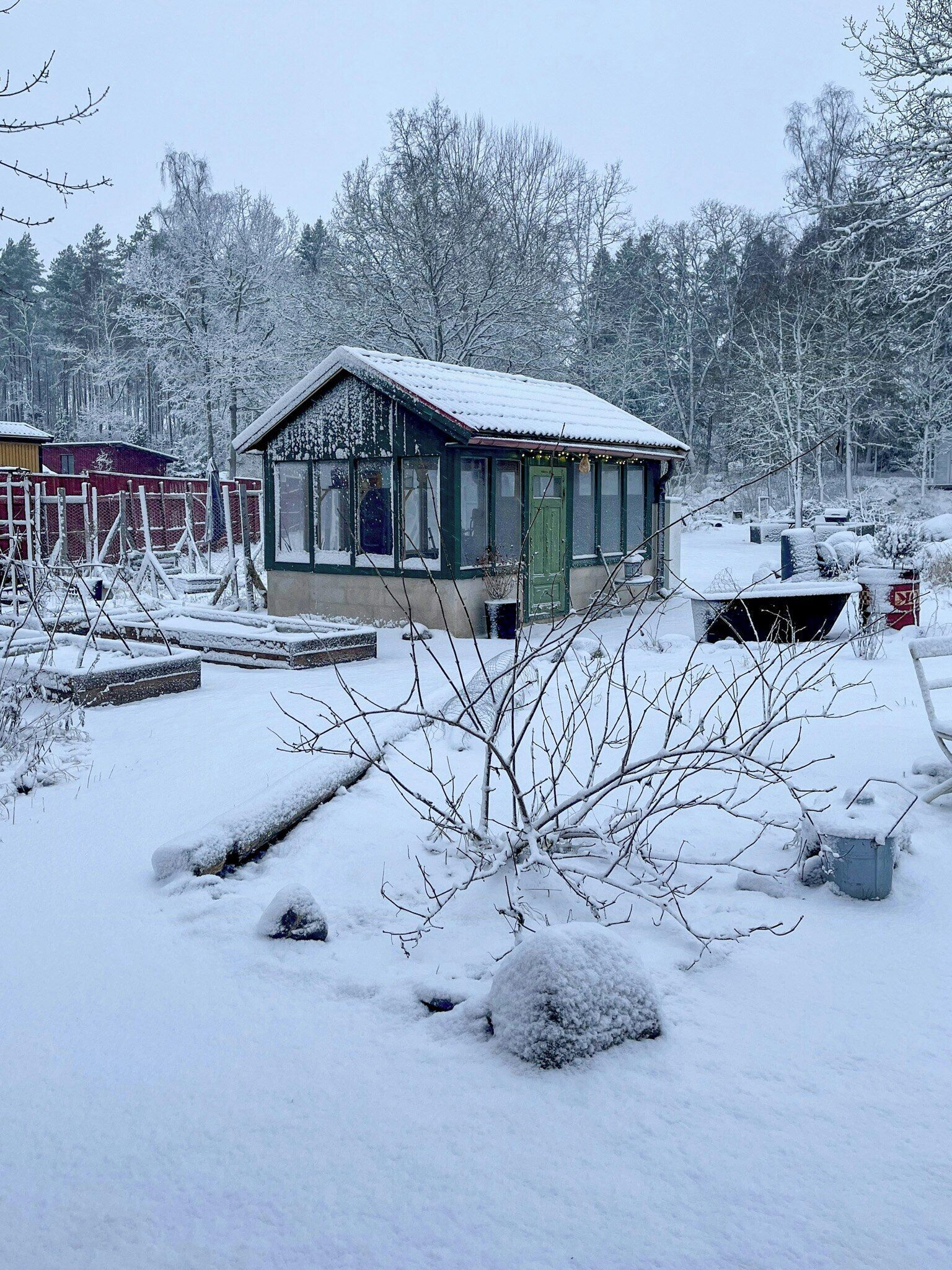 Eksteriør