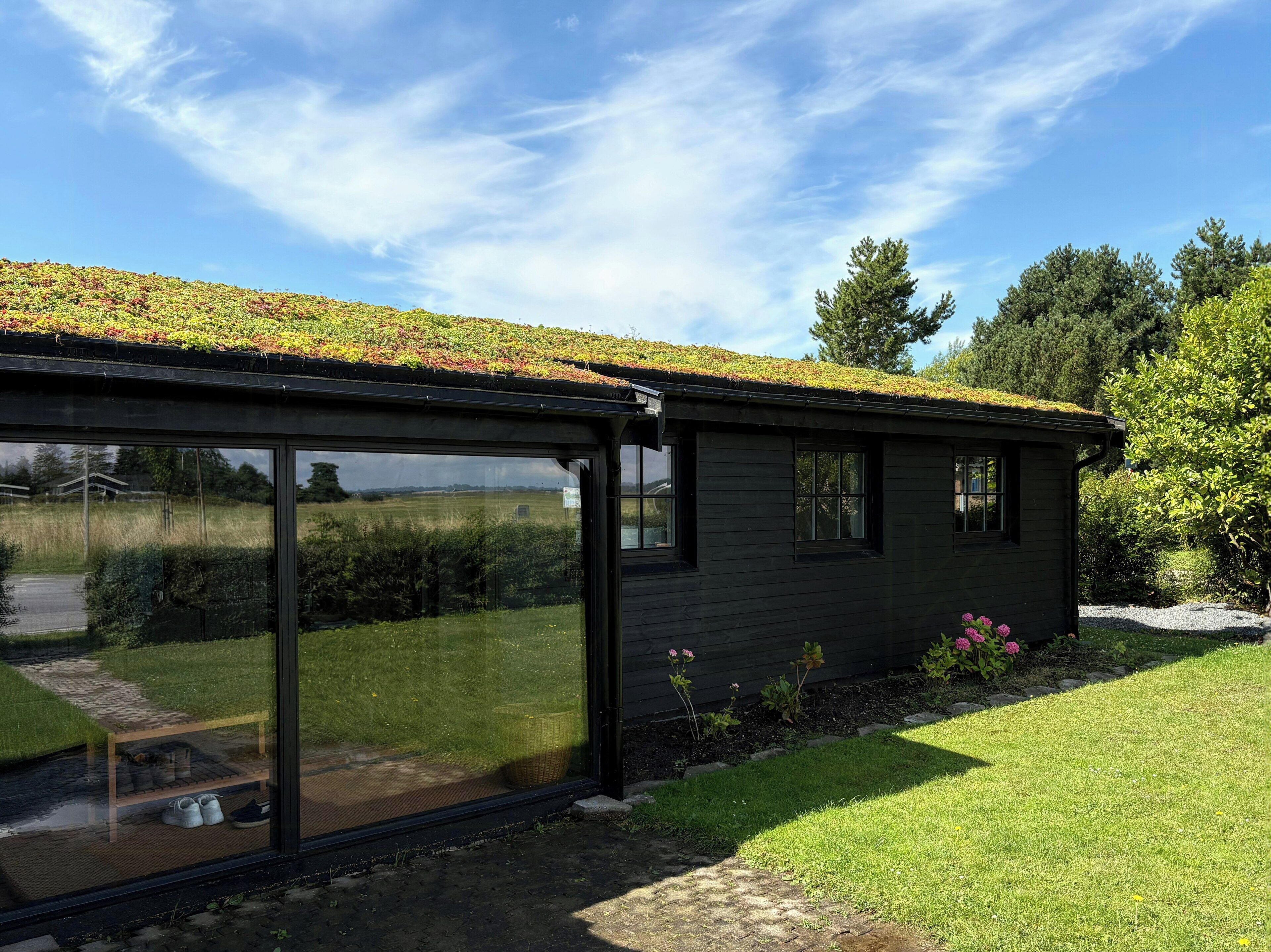 Una casa moderna con techo verde, ventanas amplias y un jardín.