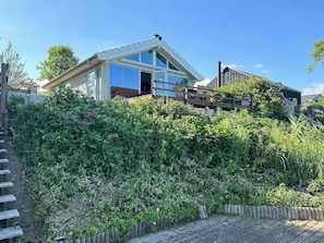 A modern house with a large glass window, a wooden deck, and a garden with various plants.