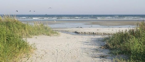 Strand