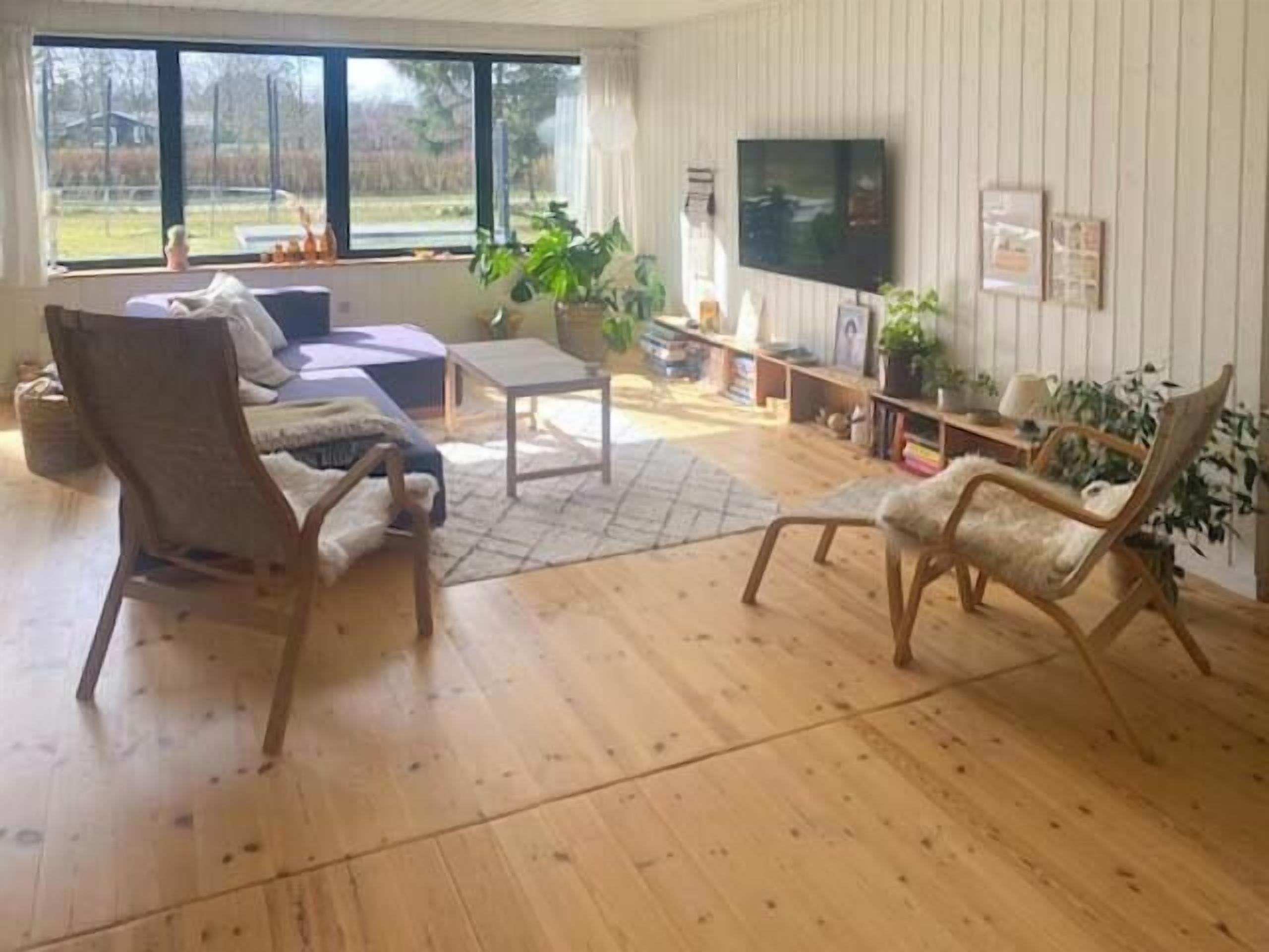 Televisor i llar de foc 