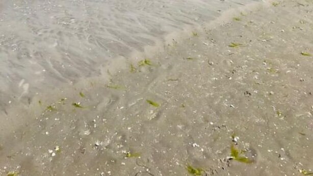 Uma praia com uma pessoa correndo pela orla.