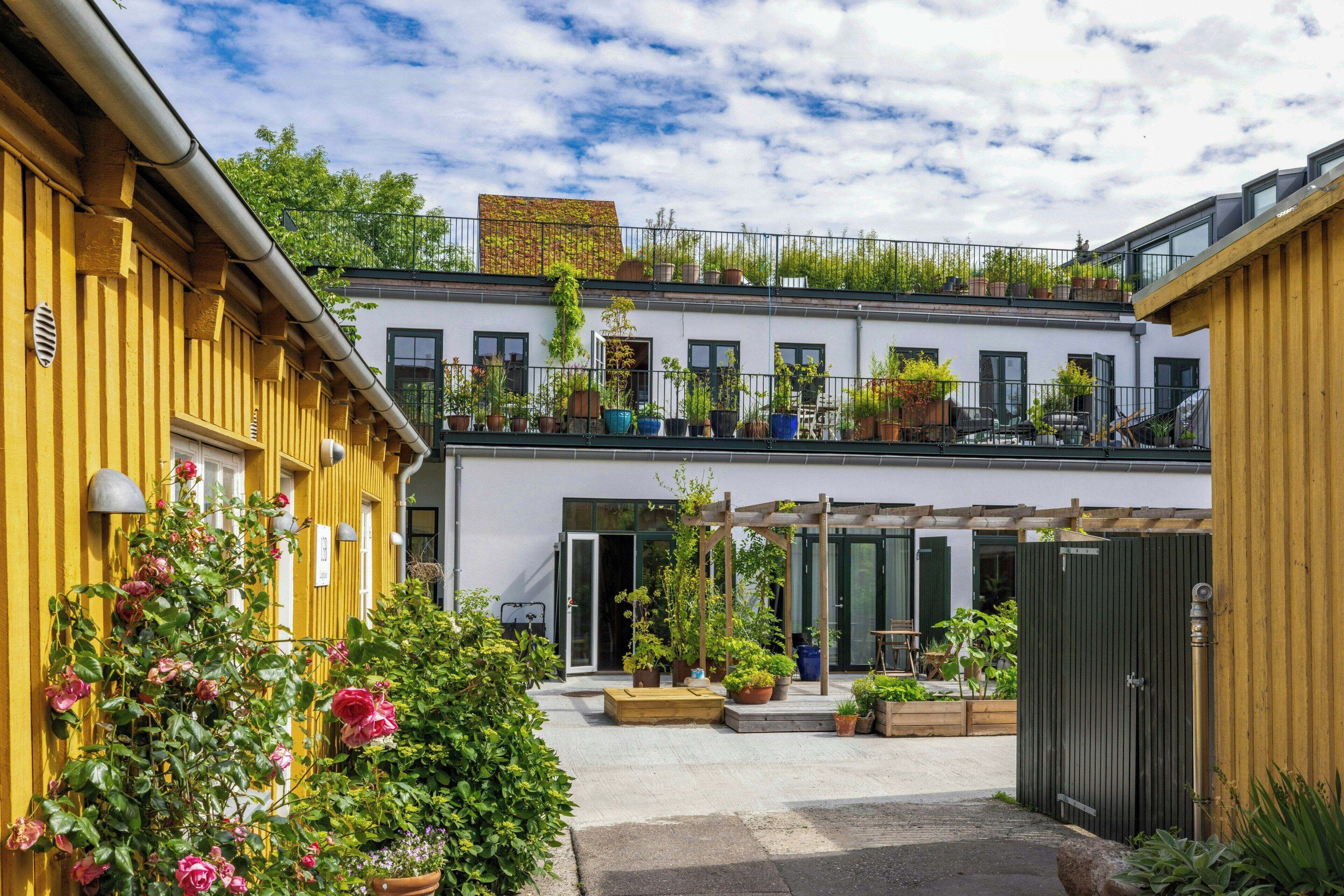 Udendørsområde