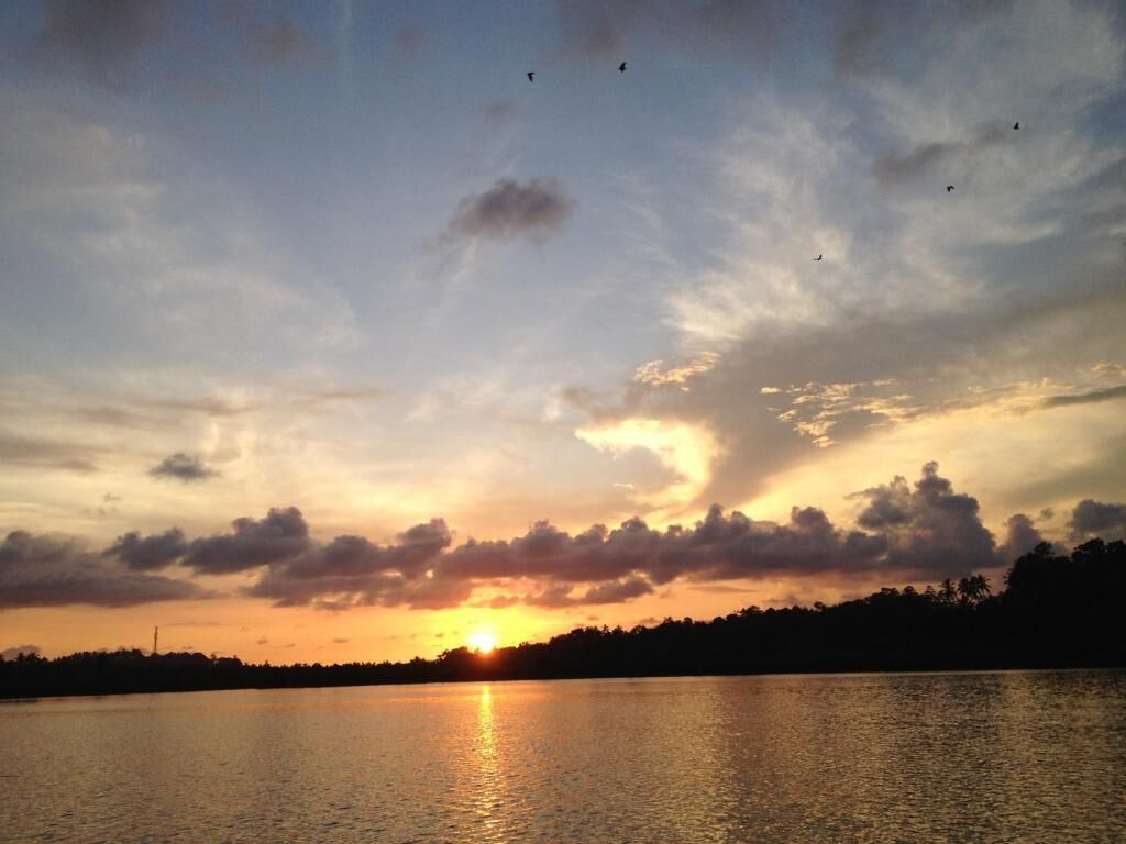 A sunset over a body of water with silhouettes of trees and a distant skyline.