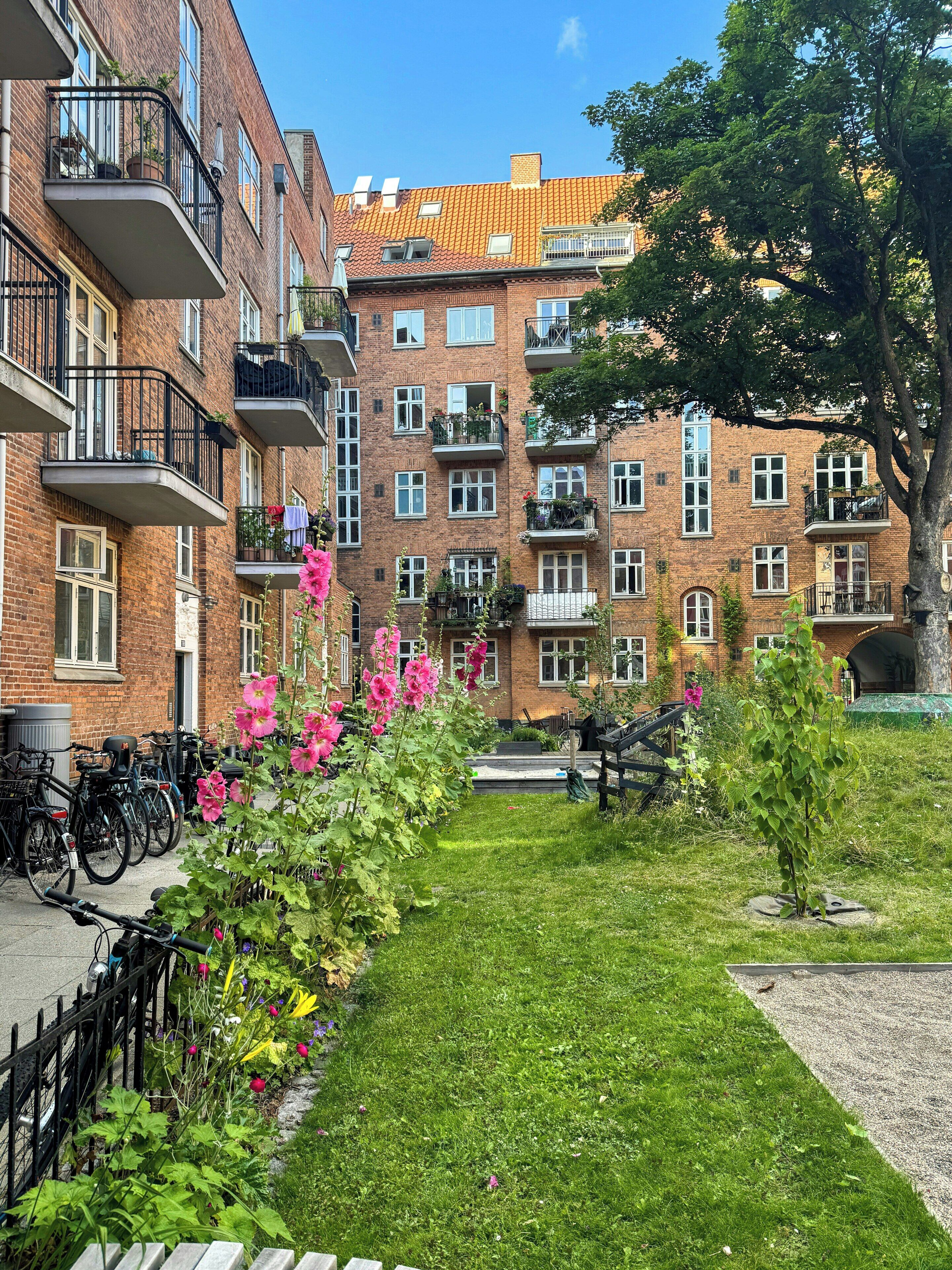 Udendørsområde