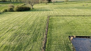 Un prato curato con una veranda in legno e un albero sullo sfondo.