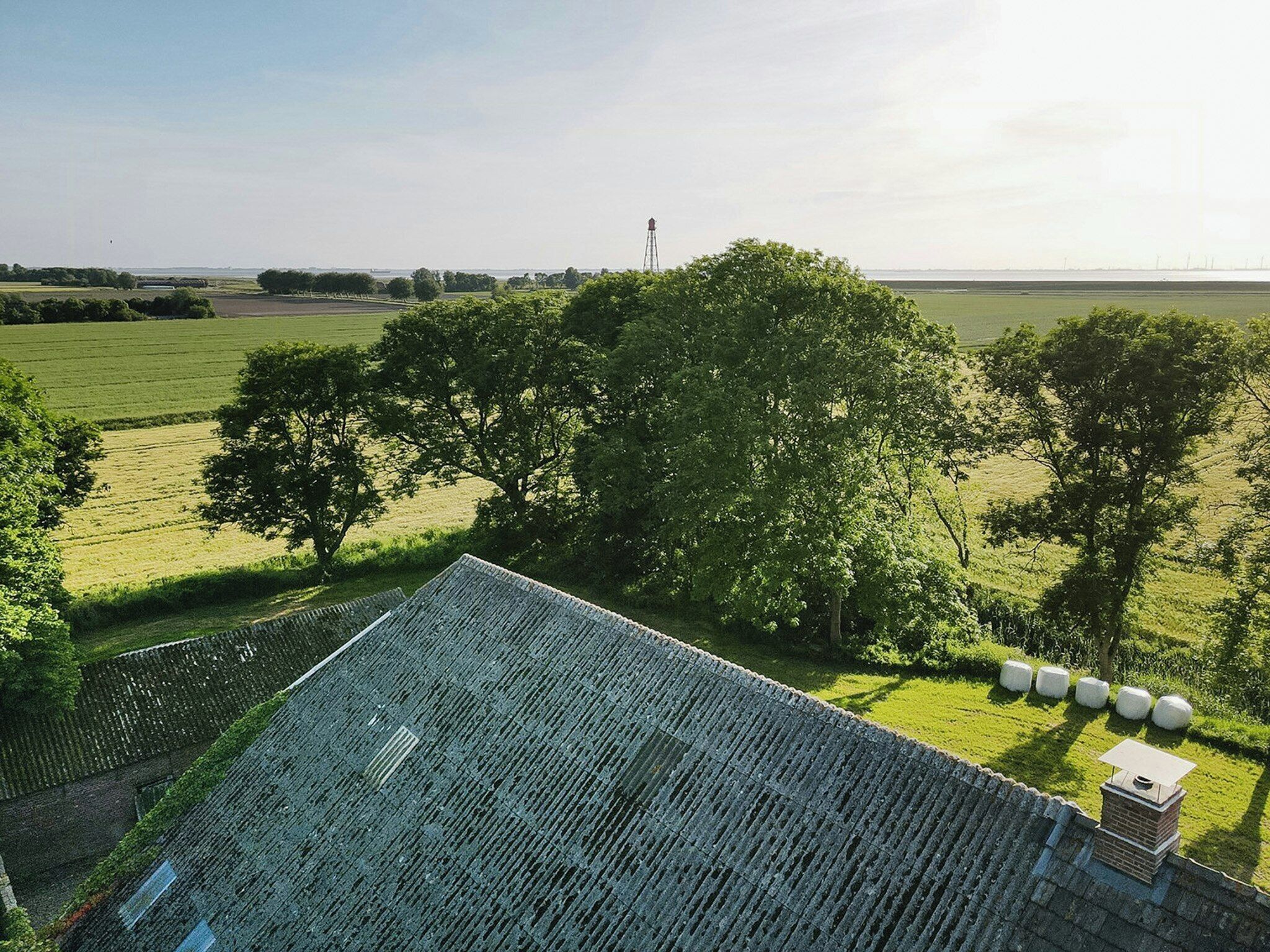 A rural landscape with a large tree, open fields, and a building with a sloped roof.