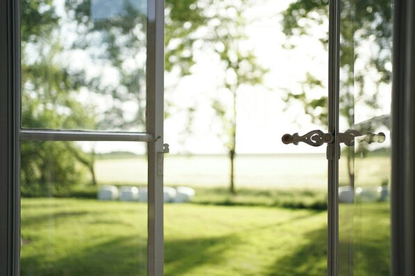 Blick durch ein Fenster mit einem Metallgriff, einem Rasenbereich und Bäumen im Hintergrund.