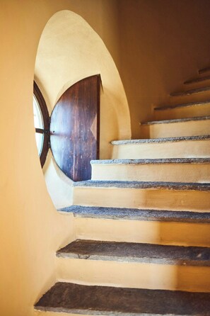 A staircase with stone steps and a wooden door at the top.