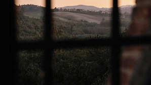 A view through a window with a grid pattern, overlooking a landscape with hills and trees. - Historic tower with Monferrato views (Terrugia)