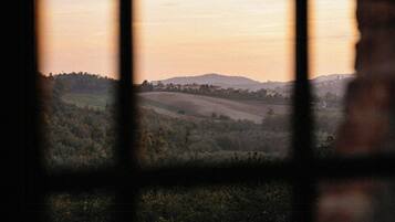 Blick durch ein Fenster mit Gittermuster auf eine Landschaft mit Hügeln und Bäumen.