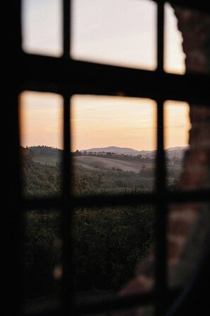 A view through a window with a grid pattern, overlooking a landscape with hills and trees.