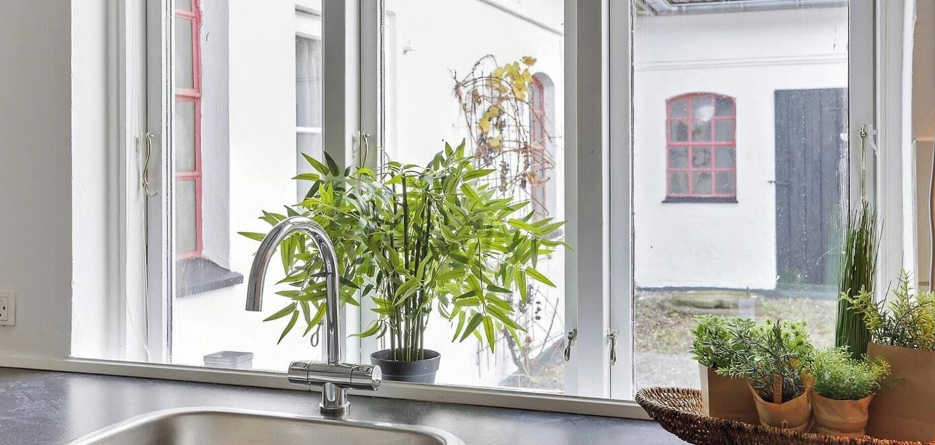 Eine Küche mit Spüle, einem Fenster und einem Blumentopf.