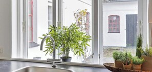 A kitchen with a sink, a window, and a potted plant.