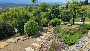 Un giardino con un vialetto in pietra, arbusti diversi e vista su colline lontane.