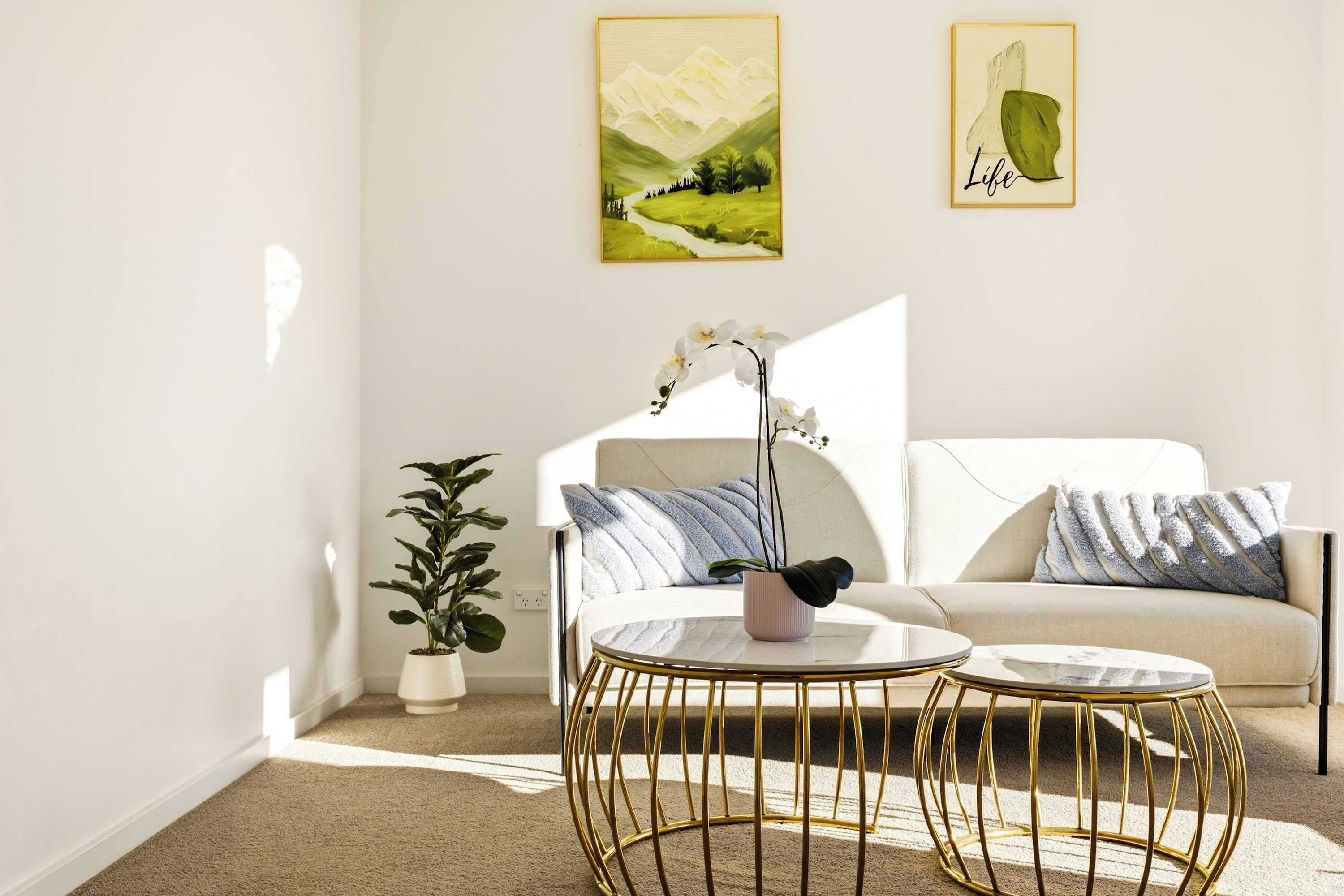 Seednest Stylish & Perfect For Relaxation - Melton