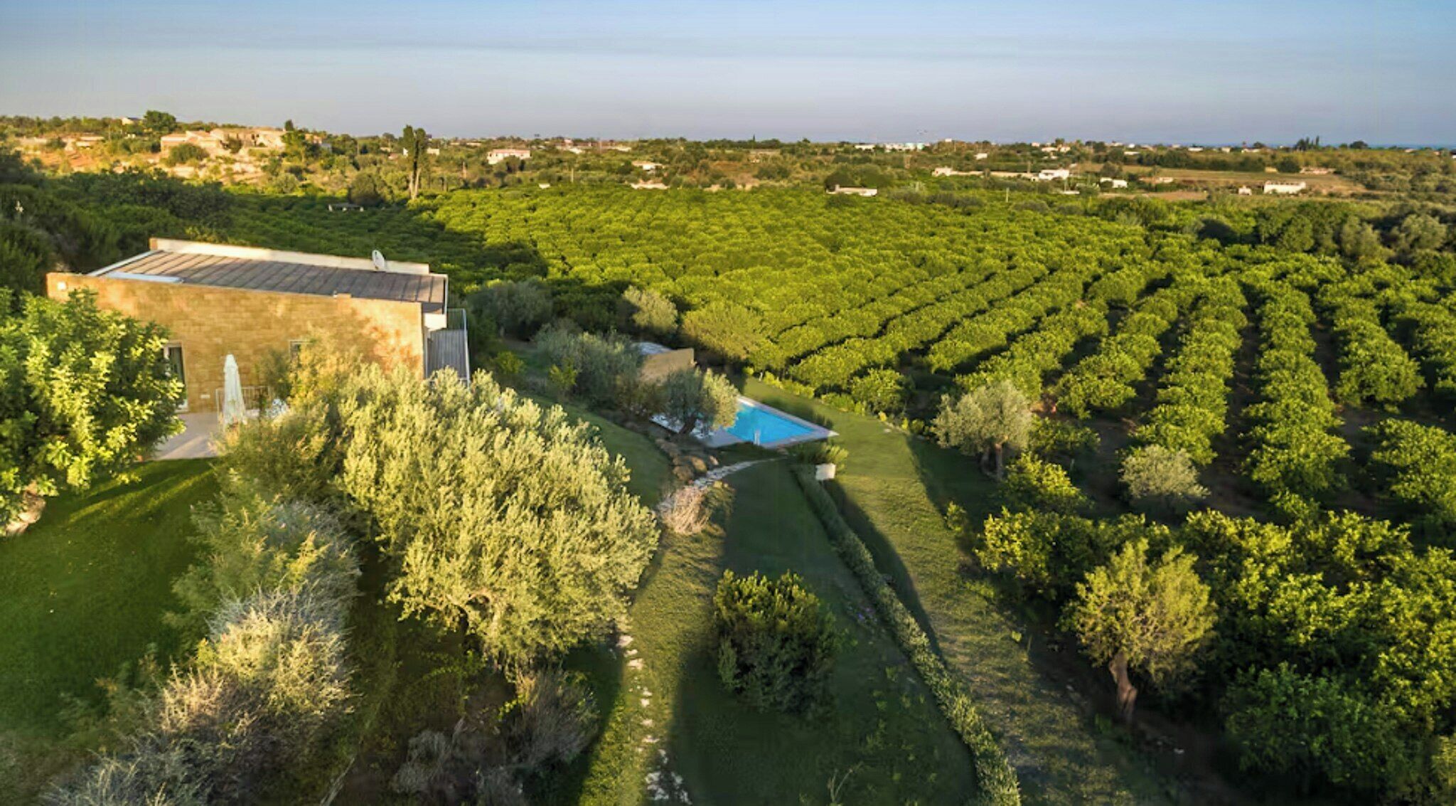 A vineyard with a swimming pool and a building with a sloped roof.