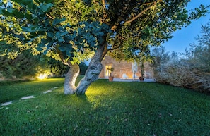 A tree-lined pathway leading to a building with a stone facade and a door. - House with pool and citrus grove near Noto (Noto)