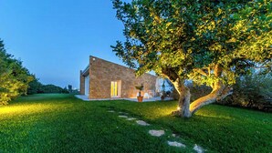 A modern house with a stone facade, a large tree in the yard, and a well-maintained lawn. - House with pool and citrus grove near Noto (Noto)
