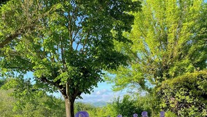 Un giardino con fiori viola, un albero e un sentiero in pietra.