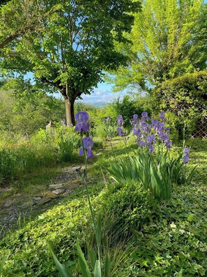 Property grounds - Elevated loft with valley views in Acqui Terme (Acqui Terme)