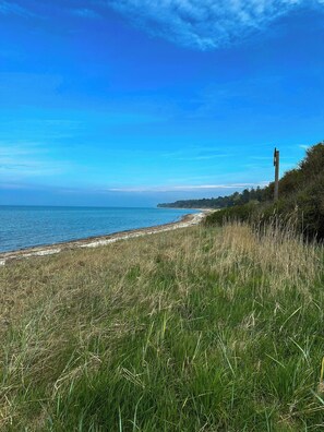 Eine Küstenlandschaft mit einem grasbewachsen Vordergrund, blauem Himmel und einer fernen Küstenlinie.