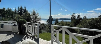 Sea views and forest tranquility at Rødtangen