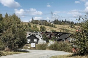 Ulkopuoli