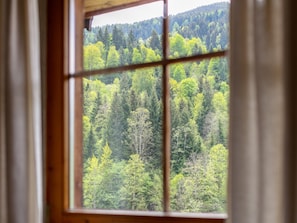 Une fenêtre donnant sur une forêt dense.