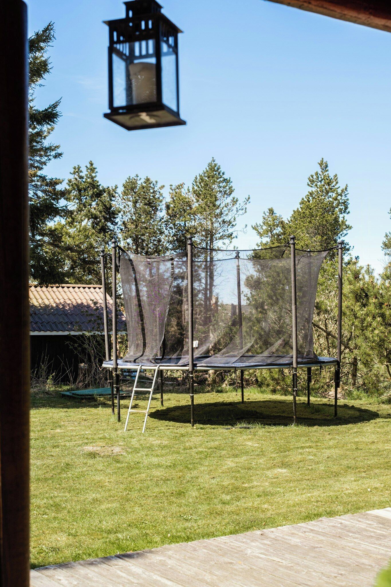 Ein Trampolin mit Netz, einer Leiter und einer hängenden Laterne in einer grünen Umgebung mit Bäumen und einem Gebäude im Hintergrund.